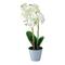 White & Sunny Yellow Artificial Blooming Orchid in Pot